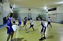 Basket 242077